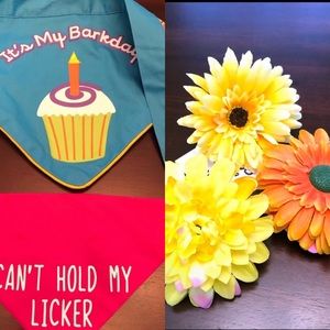 Pup Accessories Bundle!